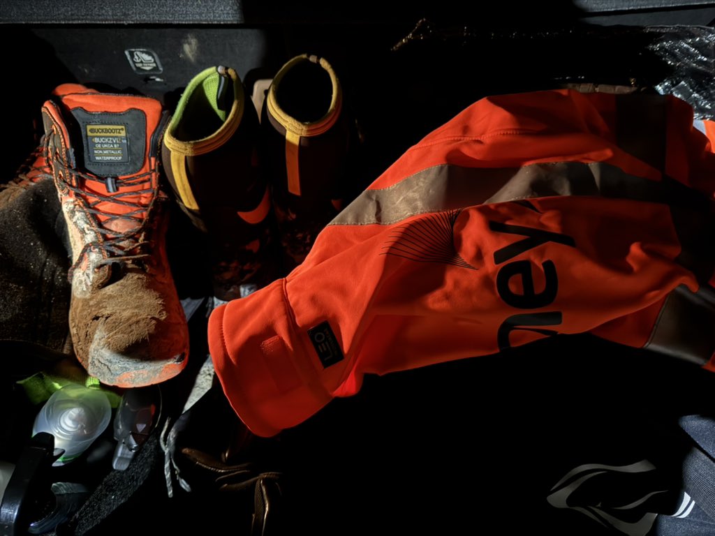 Skinheadworkie tweet media