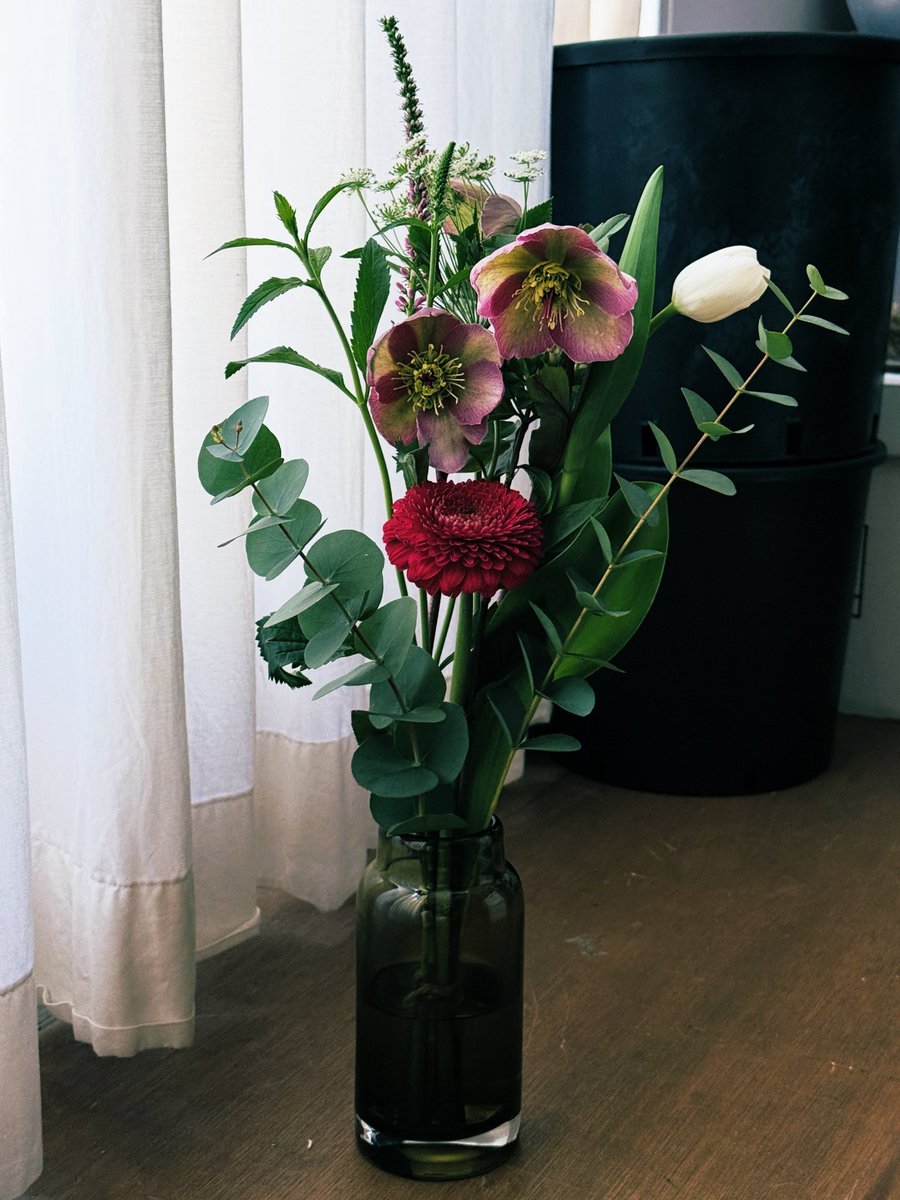 robert yamamoto tweet media