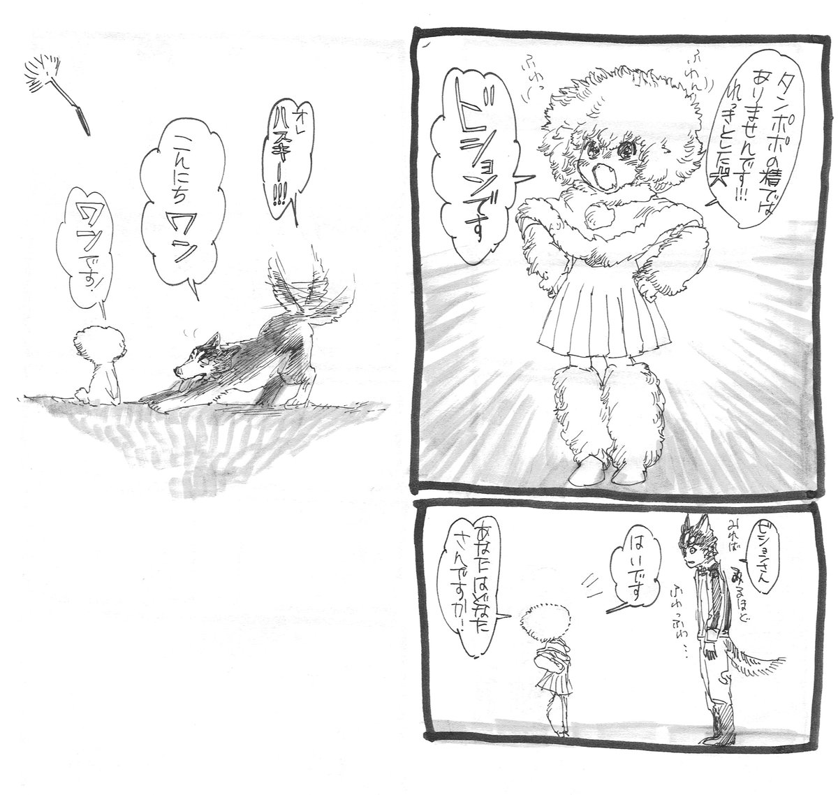 ビションさん 