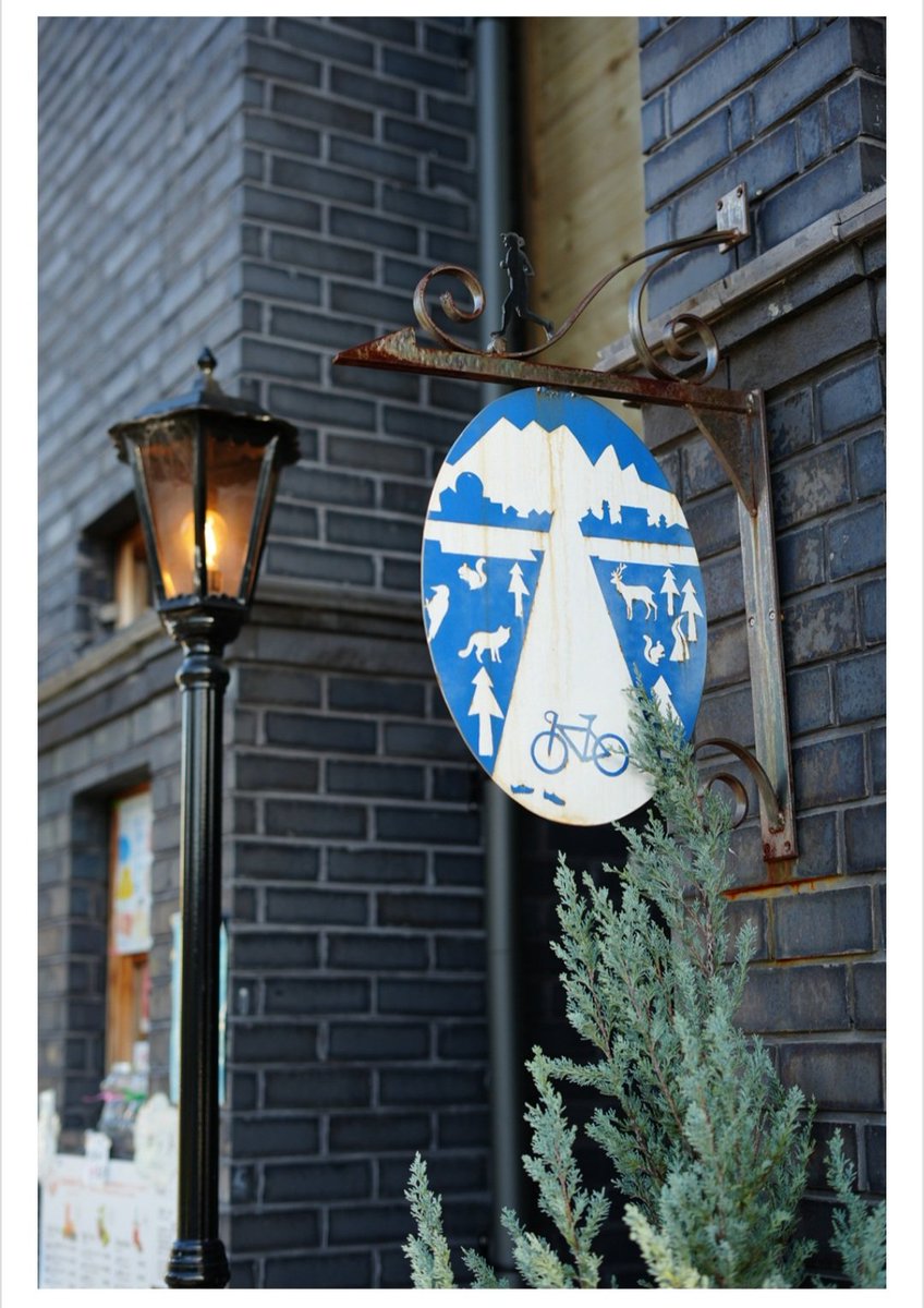 ぷるうと・西岡裕美 tweet media