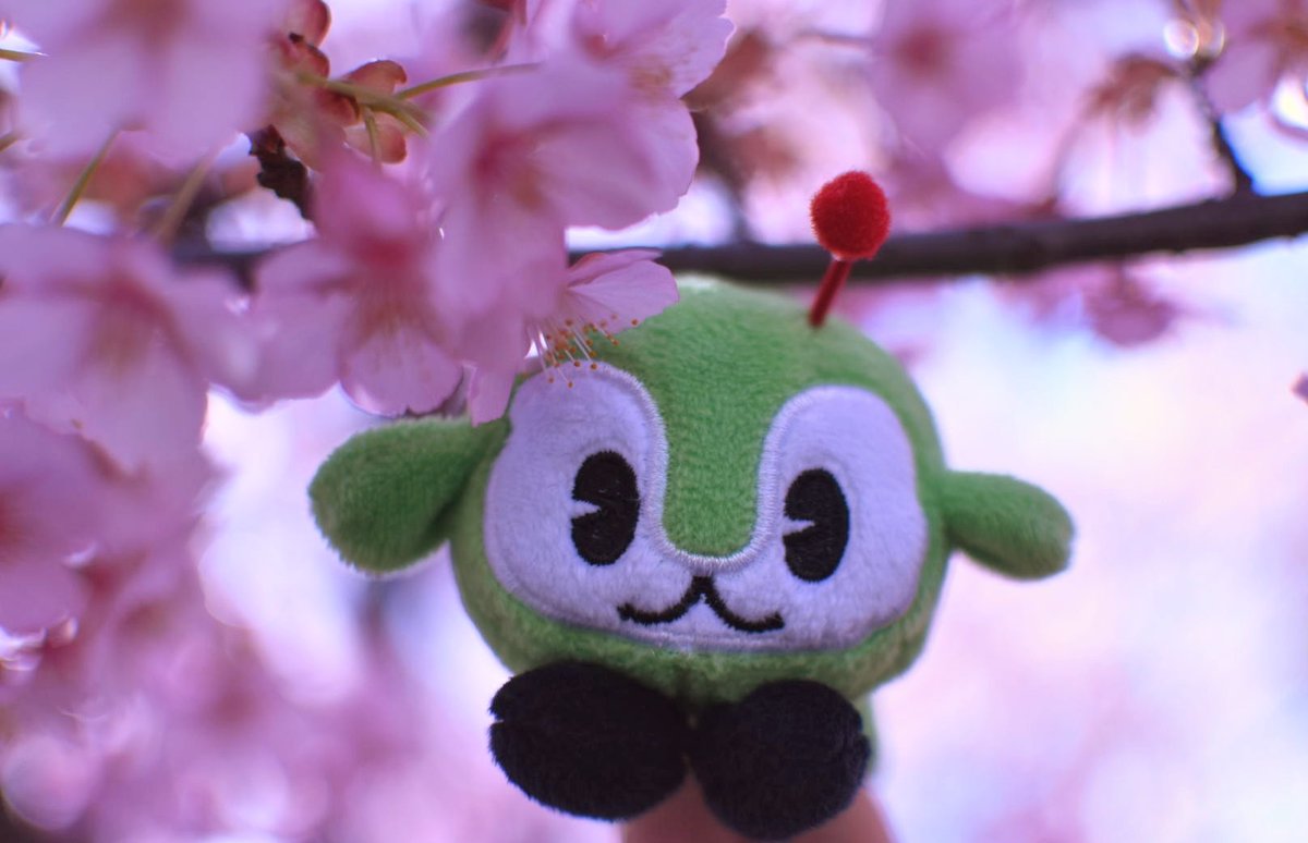 tmt_11m's tweet photo. 🌸🍡
#ファインダー越しの私の世界
#みんくる
#河津桜 https://t.co/RLwtgE5dbK