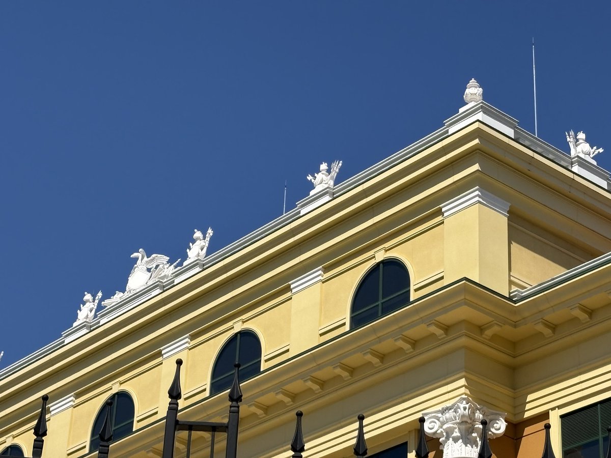 かずお君 tweet media