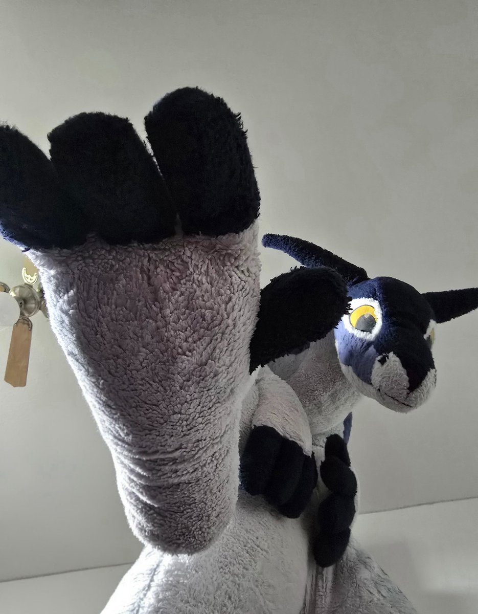 Darkfurygaming tweet media