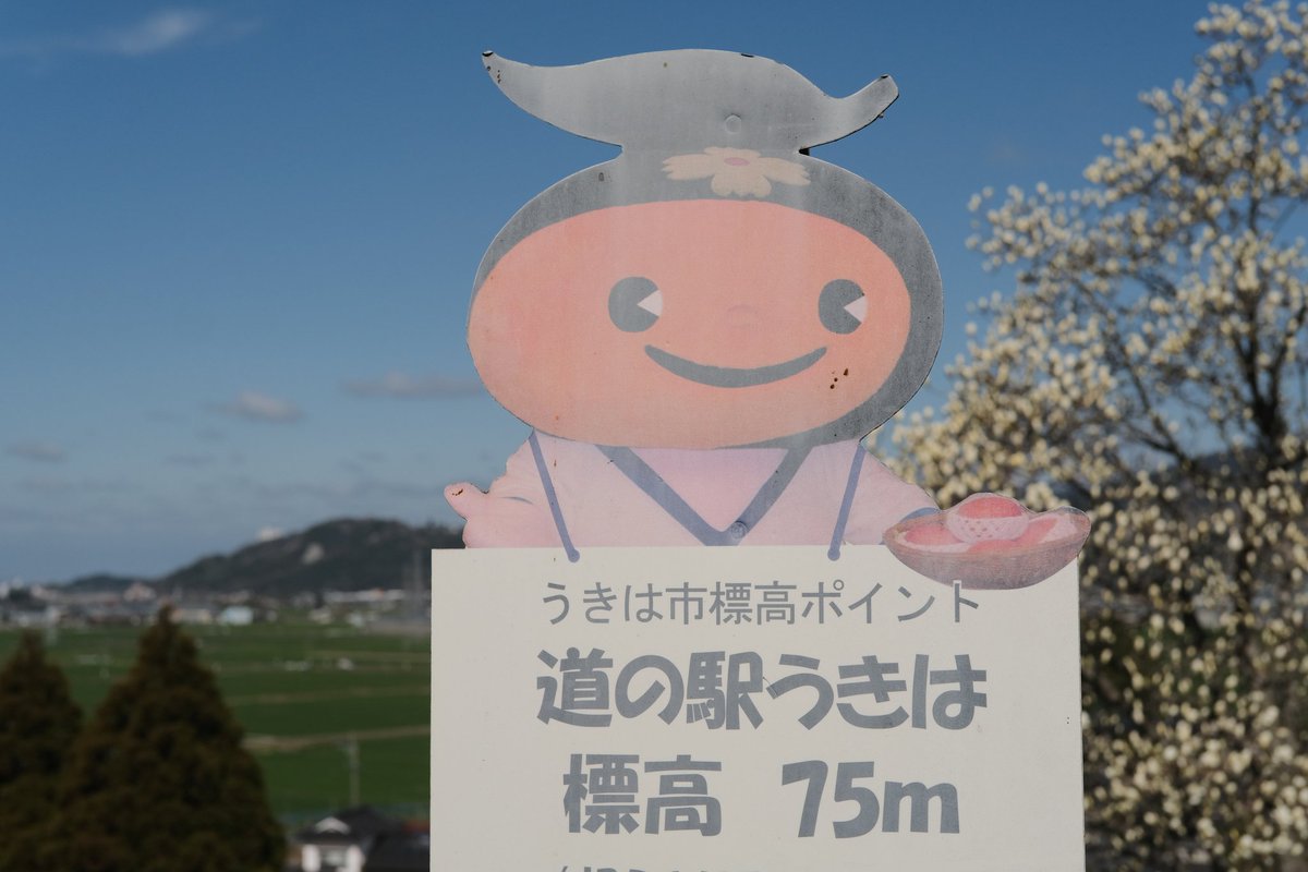 ピクチャーシェル tweet media