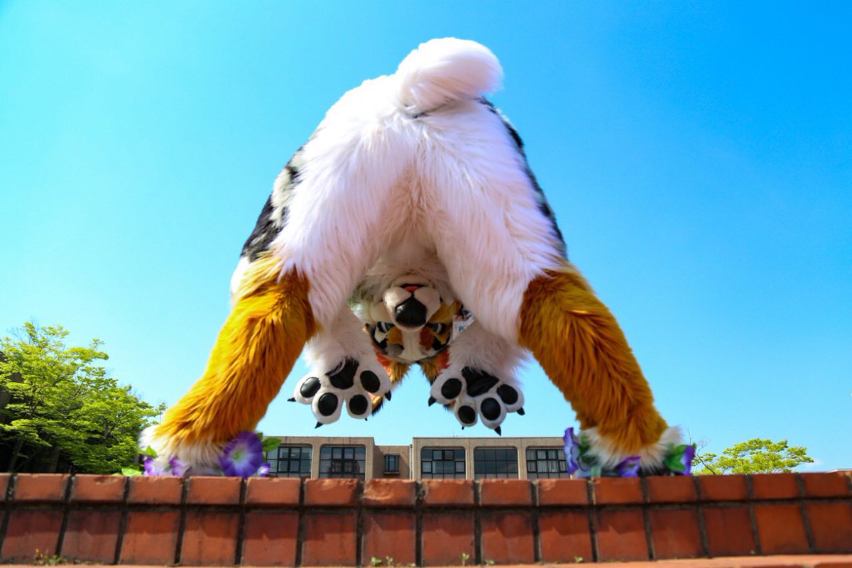 ぽん🌟 tweet media