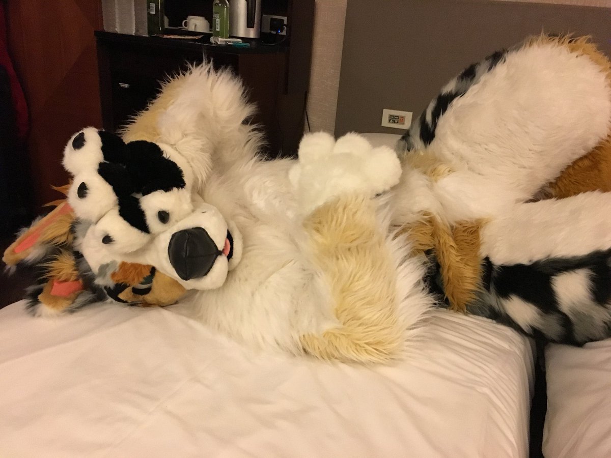 ぽん🌟 tweet media