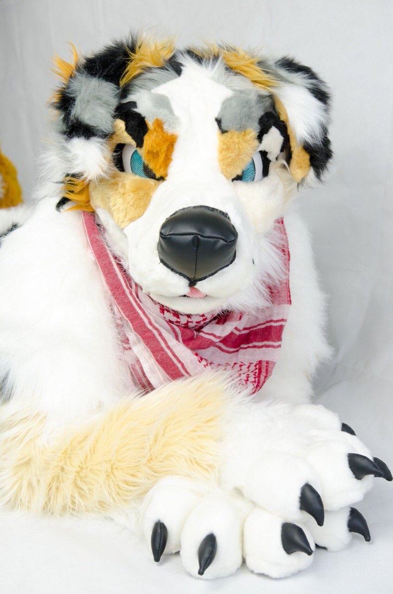 ぽん🌟 tweet media