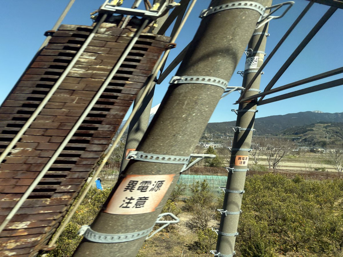 Tell_oka816's tweet photo. iPhoneのカメラって凄いんやなぁって https://t.co/hdKuyN9TR0