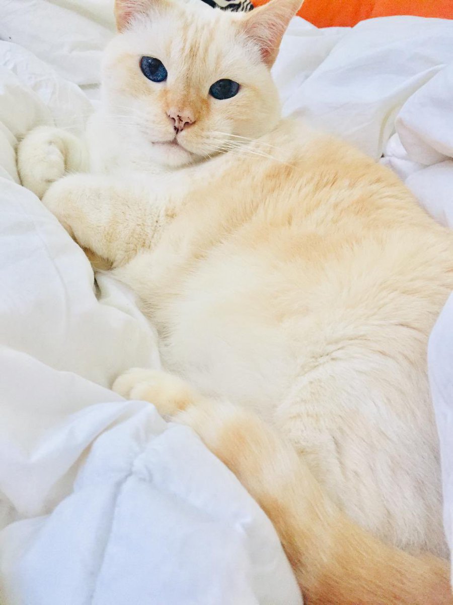 Adriana Buentello tweet media