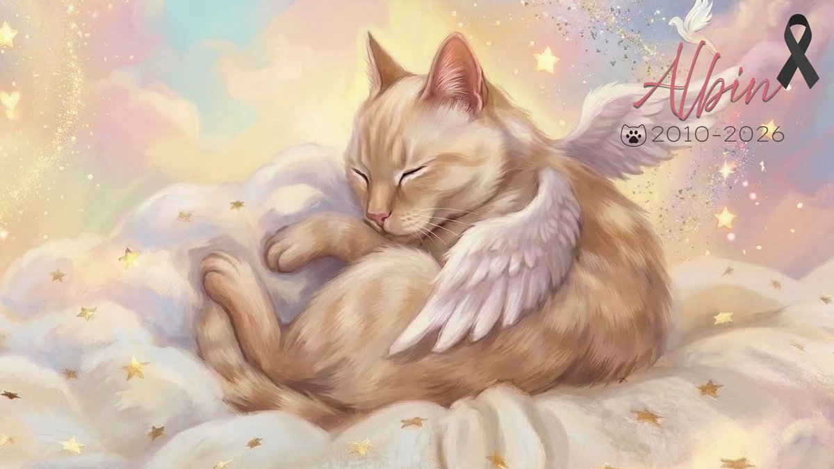 Adriana Buentello tweet media