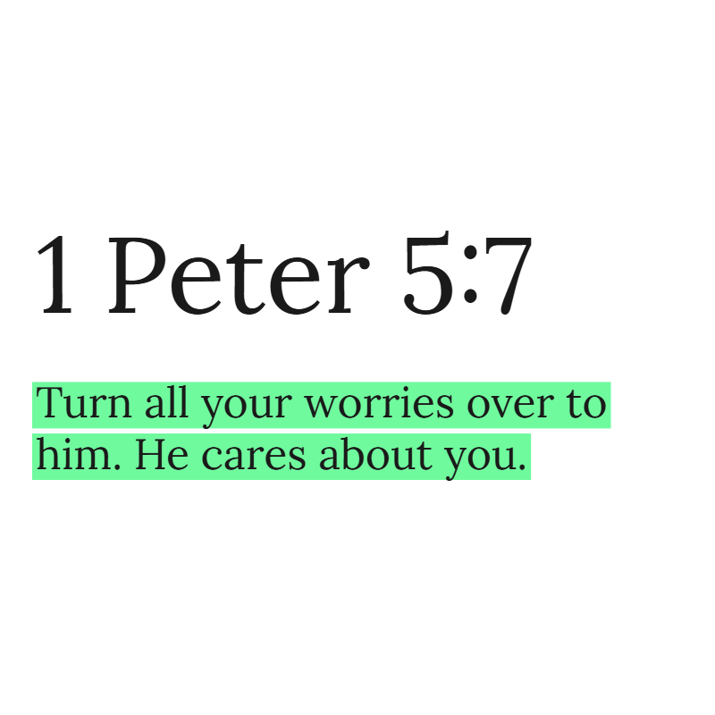 Holy Bible tweet media