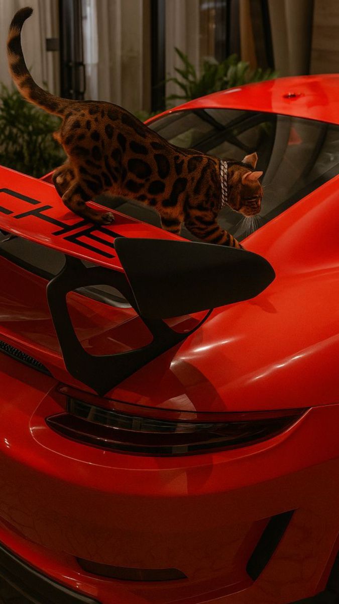 Artzchillect tweet media