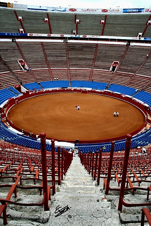 Mundo Toca tweet media