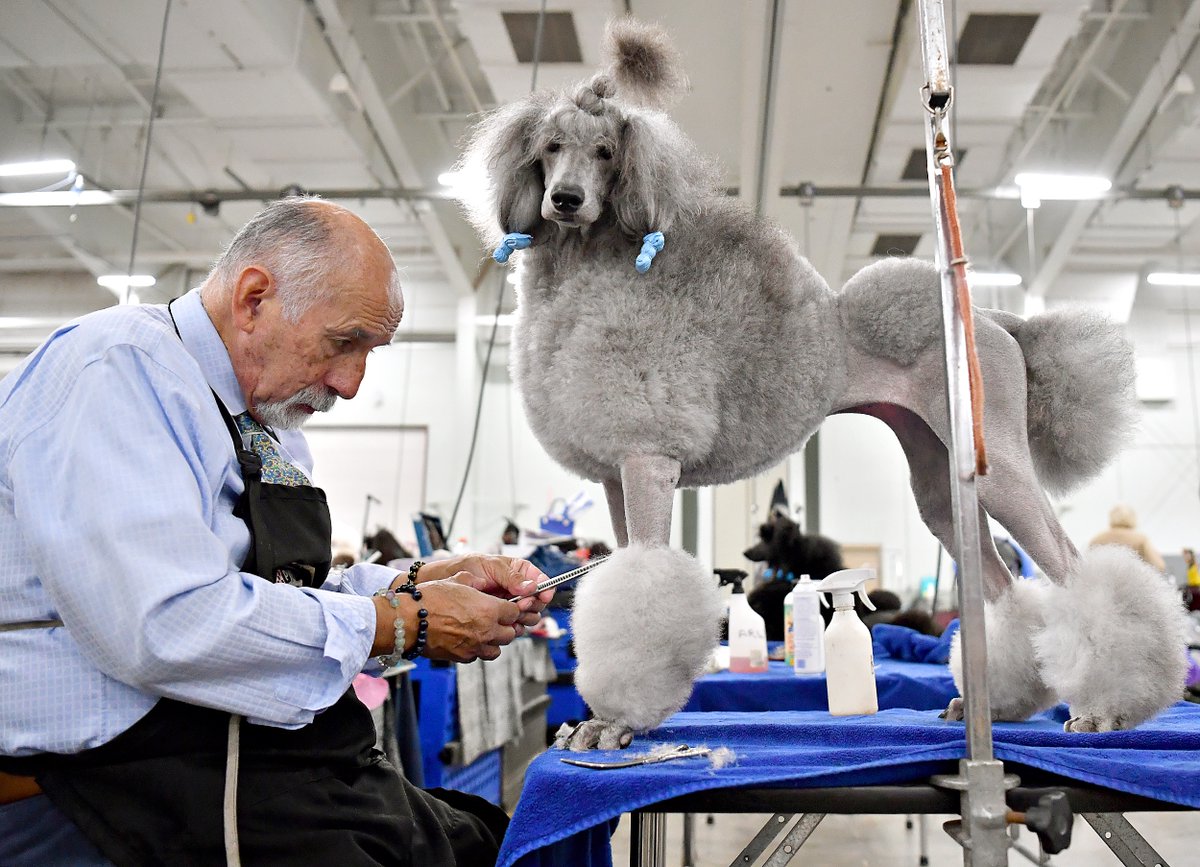 Dawn J. Sagert tweet media