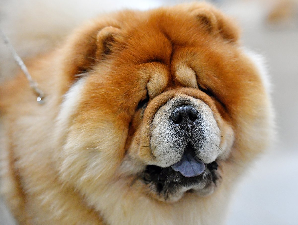 Dawn J. Sagert tweet media