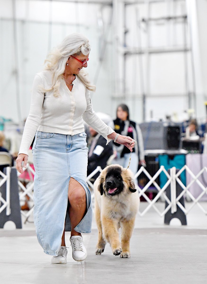 Dawn J. Sagert tweet media