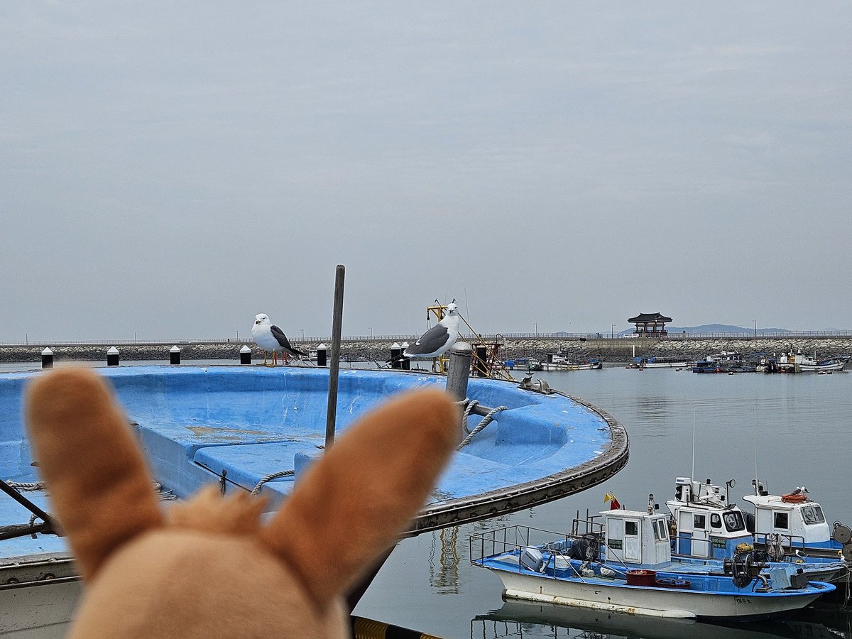 멀뽀노