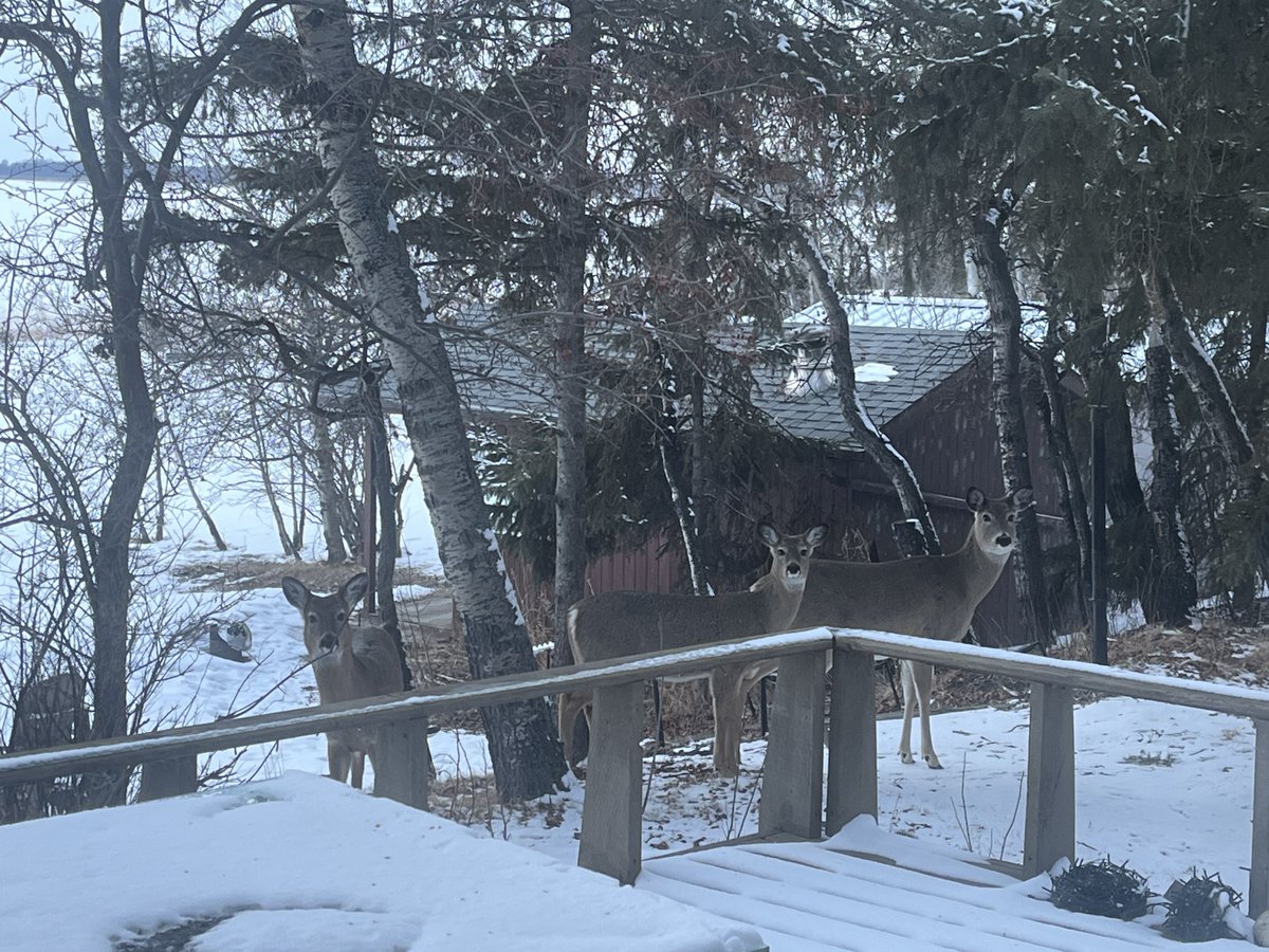 Cory Cowan tweet media