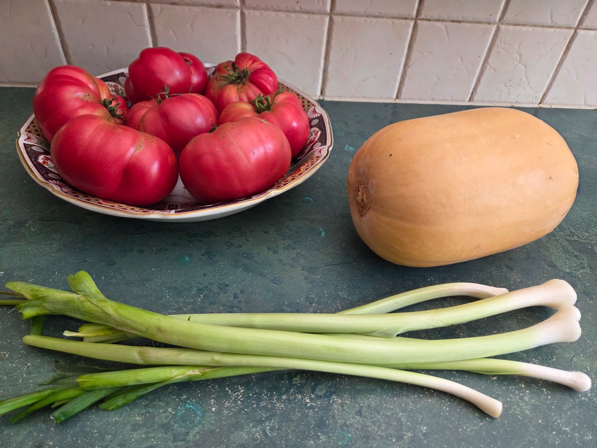 Mark Dee tweet media