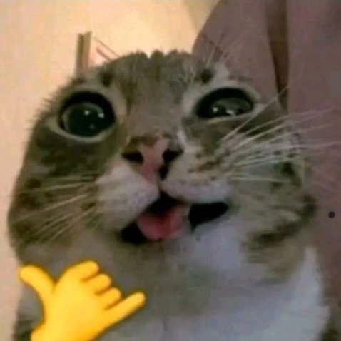 Ella me llama tweet media