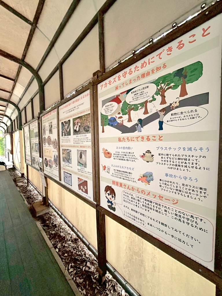 Yuji OKAHISA tweet media