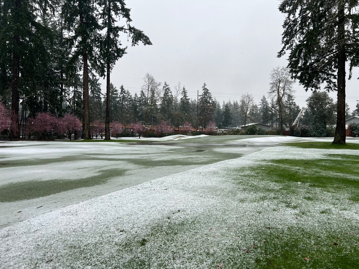 Joel Kachmarek tweet media