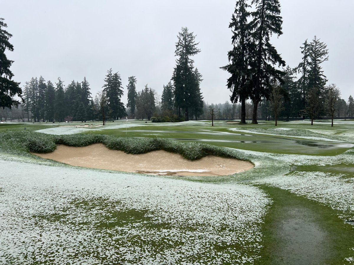 Joel Kachmarek tweet media