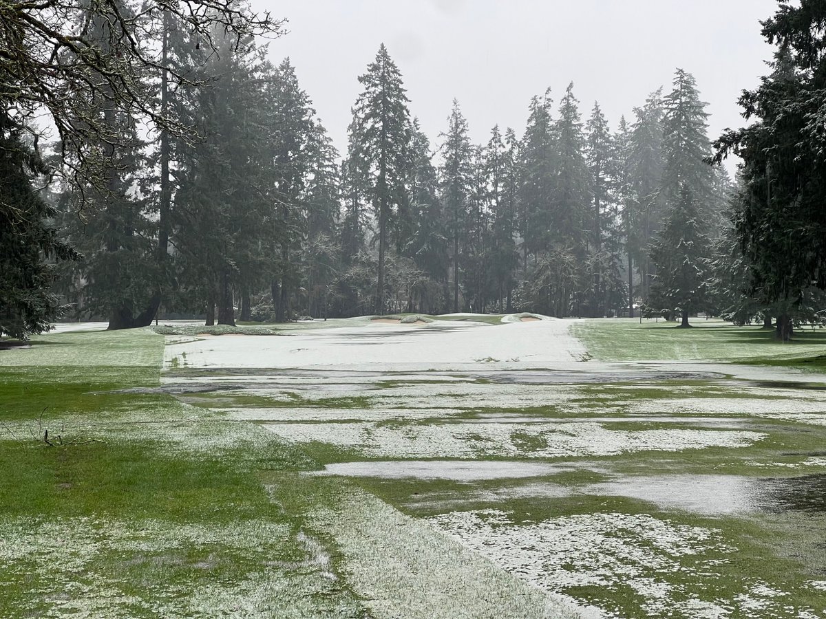 Joel Kachmarek tweet media