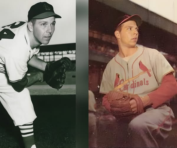 Dan El Captain tweet media