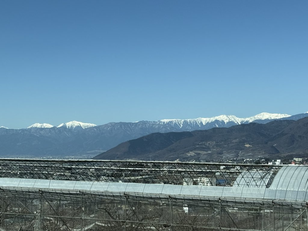 もきち tweet media