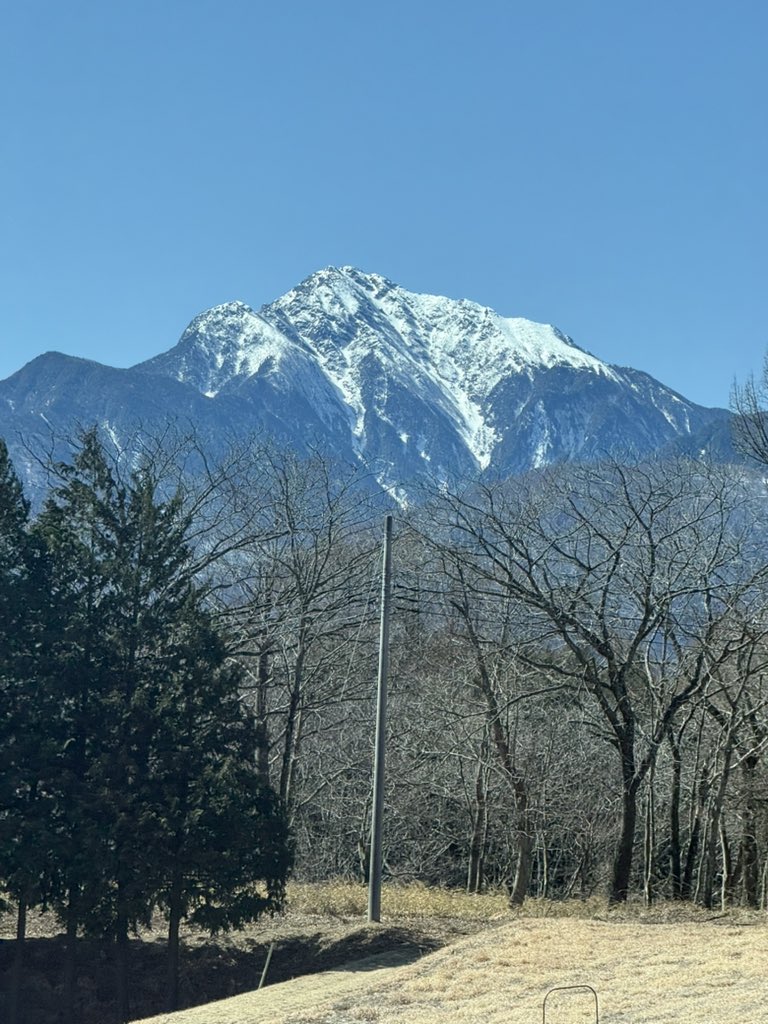 もきち tweet media