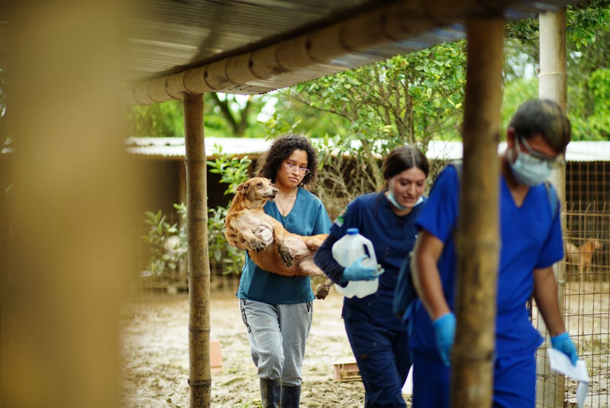 #GADCHONE || Tras la creciente, Chone registra más de $1,3 millones en afectaciones productivas.

Las intensas lluvias y la reciente creciente han dejado importantes afectaciones en comunidades rurales del cantón.