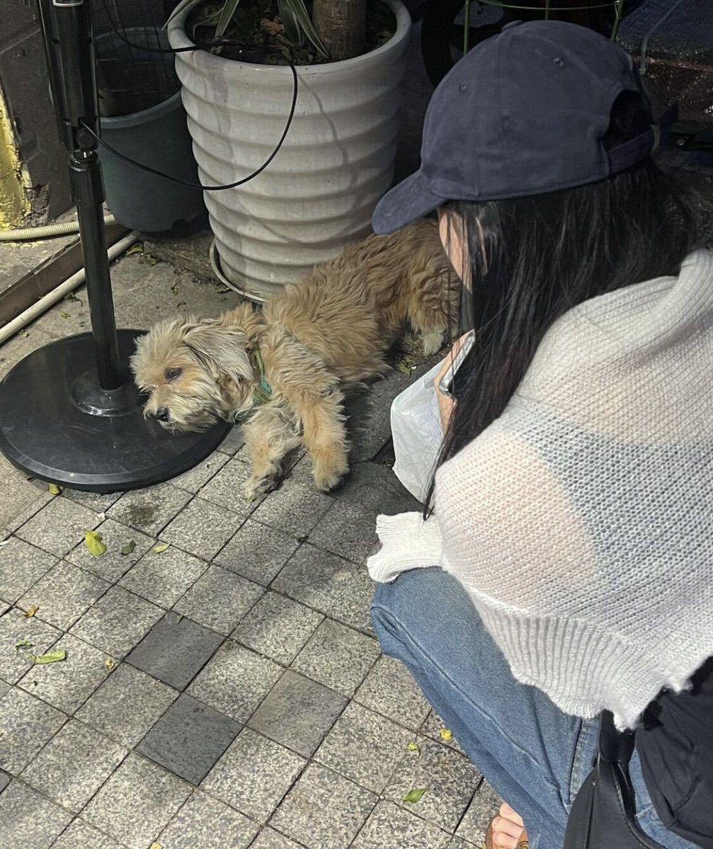 아름이💛 tweet media