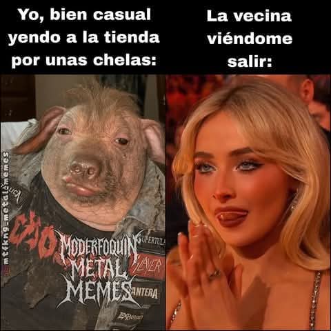 LuisLuiskiss1's tweet image. #arfarf #openthepit @rosete_ros  @RojoWargo chillidos de puercoxxxx🤟🏼😈🐖🐖