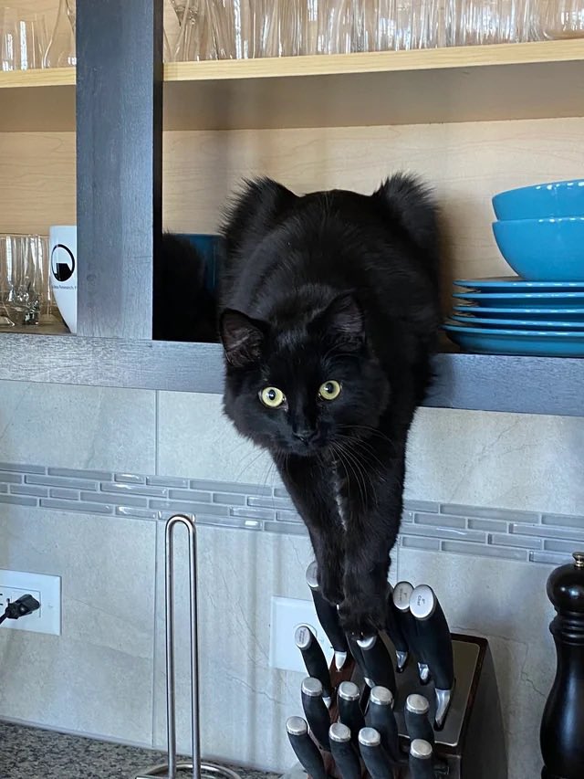 Agatha Chocolats tweet media