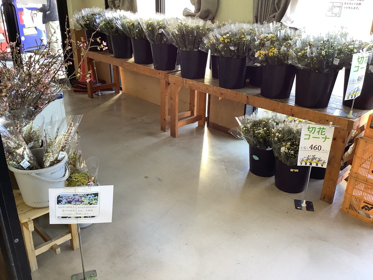 JA95122019's tweet photo. 本日の切花入荷状況 https://t.co/i99MMssSce
