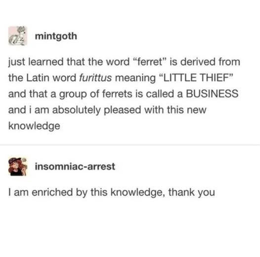 Papa Woof und Krampus und Bleaken (@woofknight) on Twitter photo 