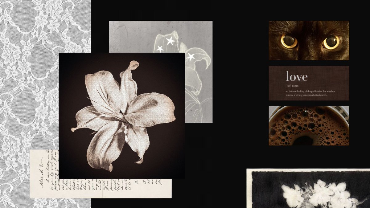 𖥨 ¡! nCIPPa ²⁶ 𖦹´ tweet media