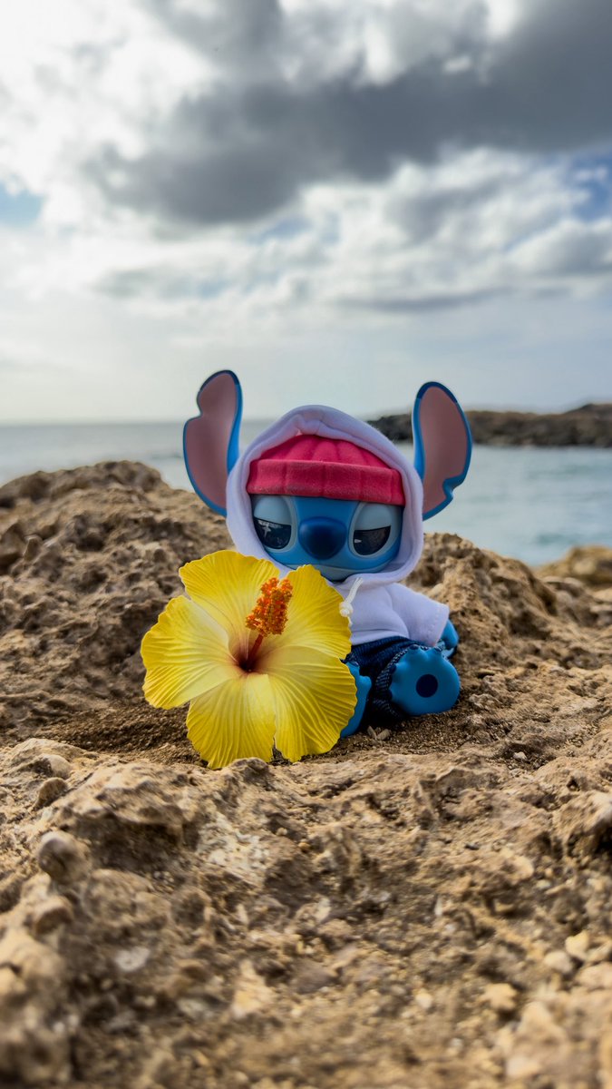 Michael_D_560's tweet photo. That’s a wrap on winter 🤙🏽 mahalo Oahu 🌺 https://t.co/VtNePZa29r