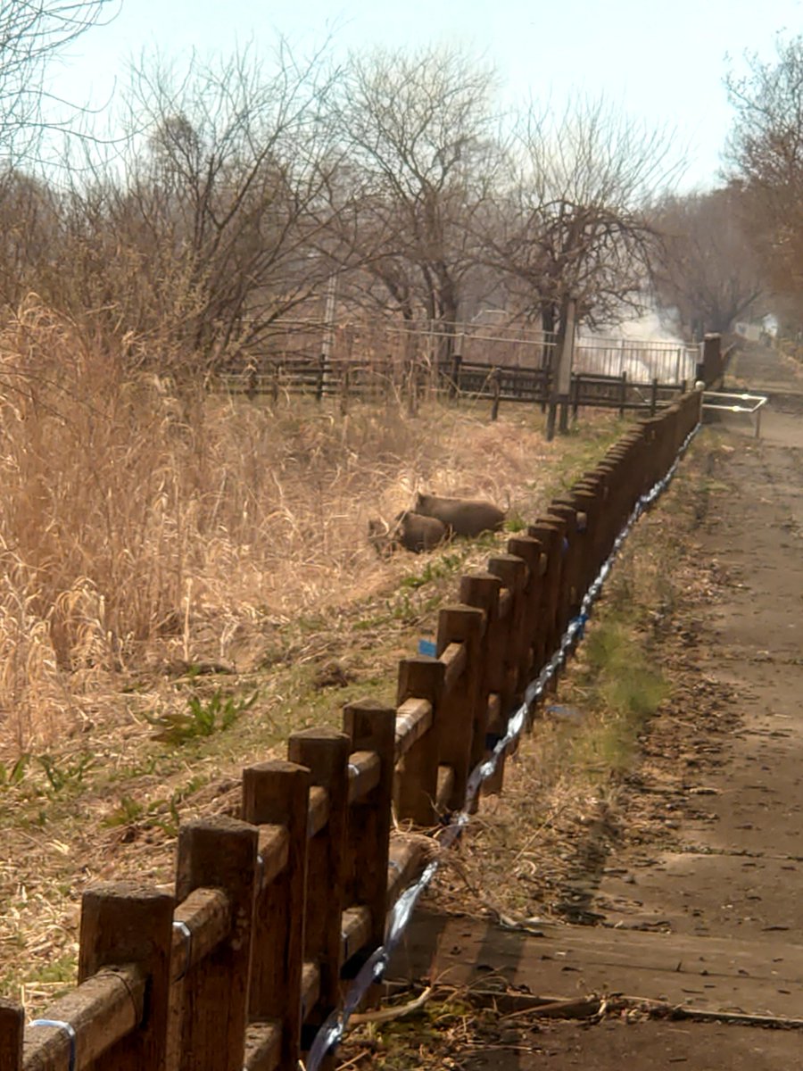 国土交通省利根川上流河川事務所 tweet media