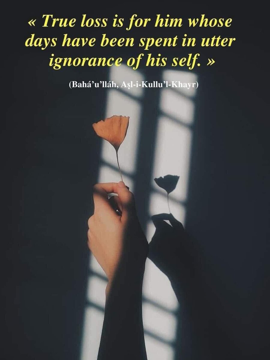 Ryan Daniels (@hallowreed) on Twitter photo 