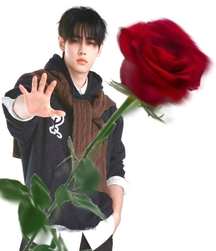 sungiilvsminho's tweet photo. Una rosa para quién interactúe y ponga los hashtags 🫂

#PROTECT_ENHYPEN  
ENHYPEN은 7입니다 #BELIFTLABTREATENHYPENBETTER #ENHYPEN_IS_7
 ENHYPEN IS SEVEN https://t.co/CDkLQG7tT0