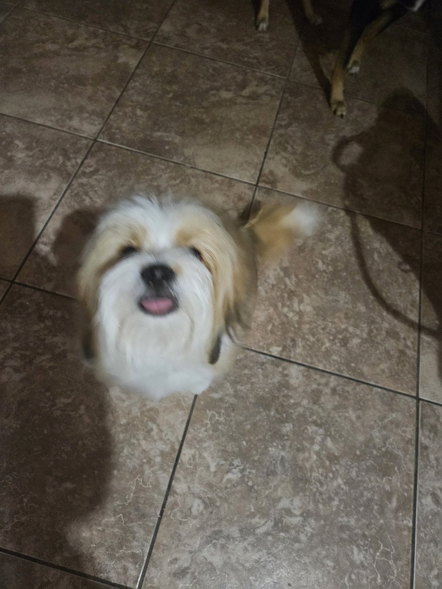 CProffitt8's tweet photo. First hair cut https://t.co/o9q2tkRliU