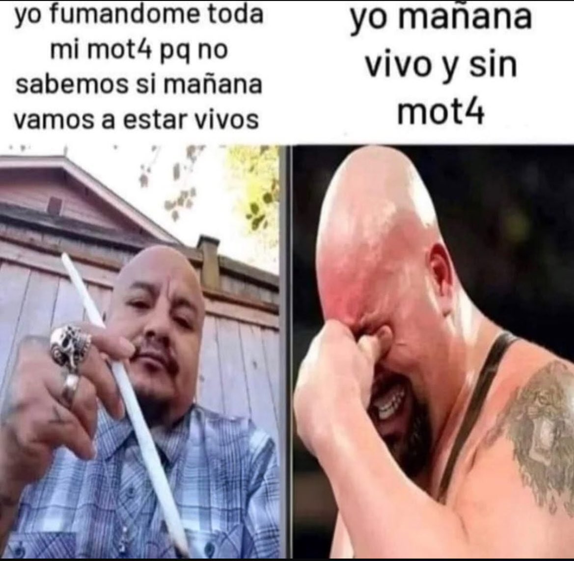 El Paragua Venenoso tweet media