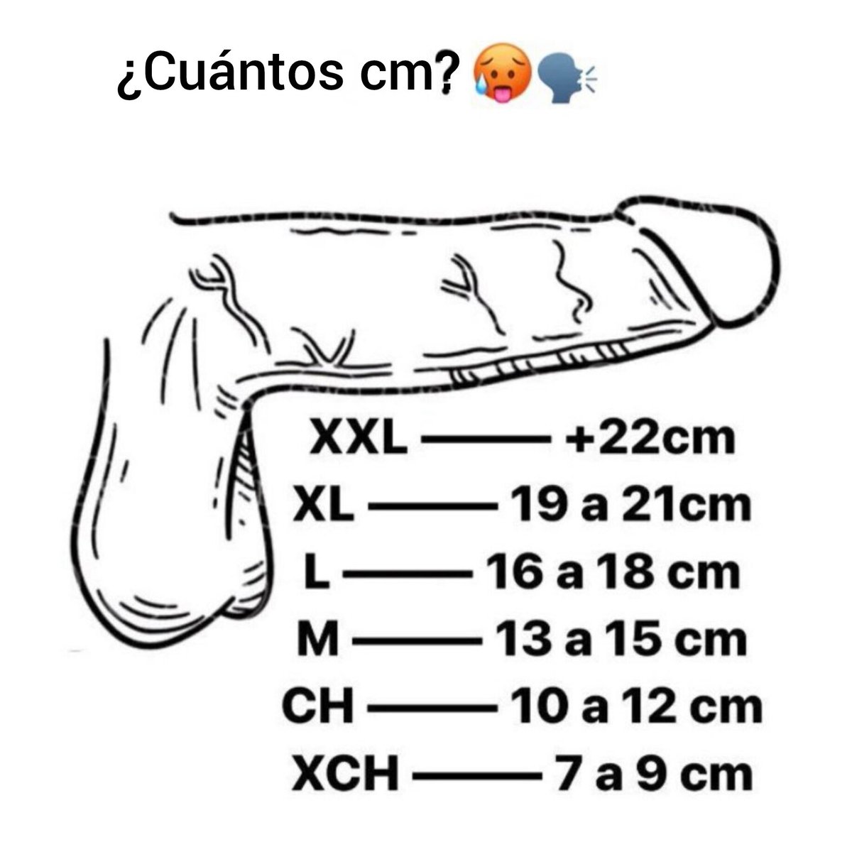 ＤDOＭＩＮＵＳ__ tweet media