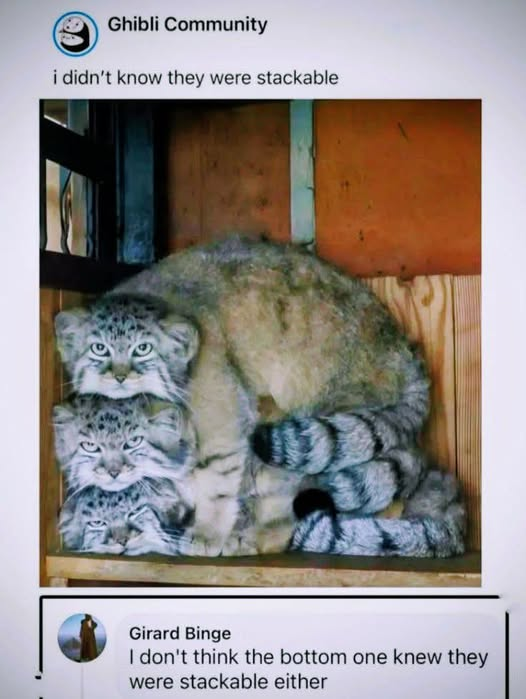 Papa Woof und Krampus und Bleaken tweet media