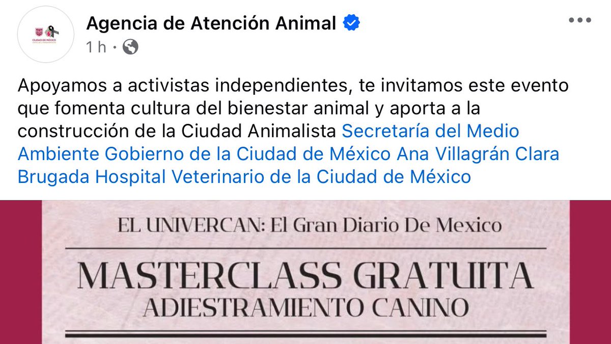 Gobierno de Brugada promociona castigo de animales como entrenamiento 

La Agencia de Atención Animal promociona una “masterclass” de adiestramiento organizada por un negocio privado.

Difundida incluso con la imagen institucional del Gobierno de la Ciudad de México bajo el