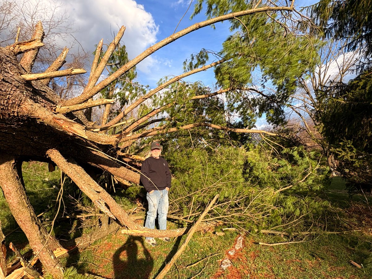 Dylan Cleland tweet media