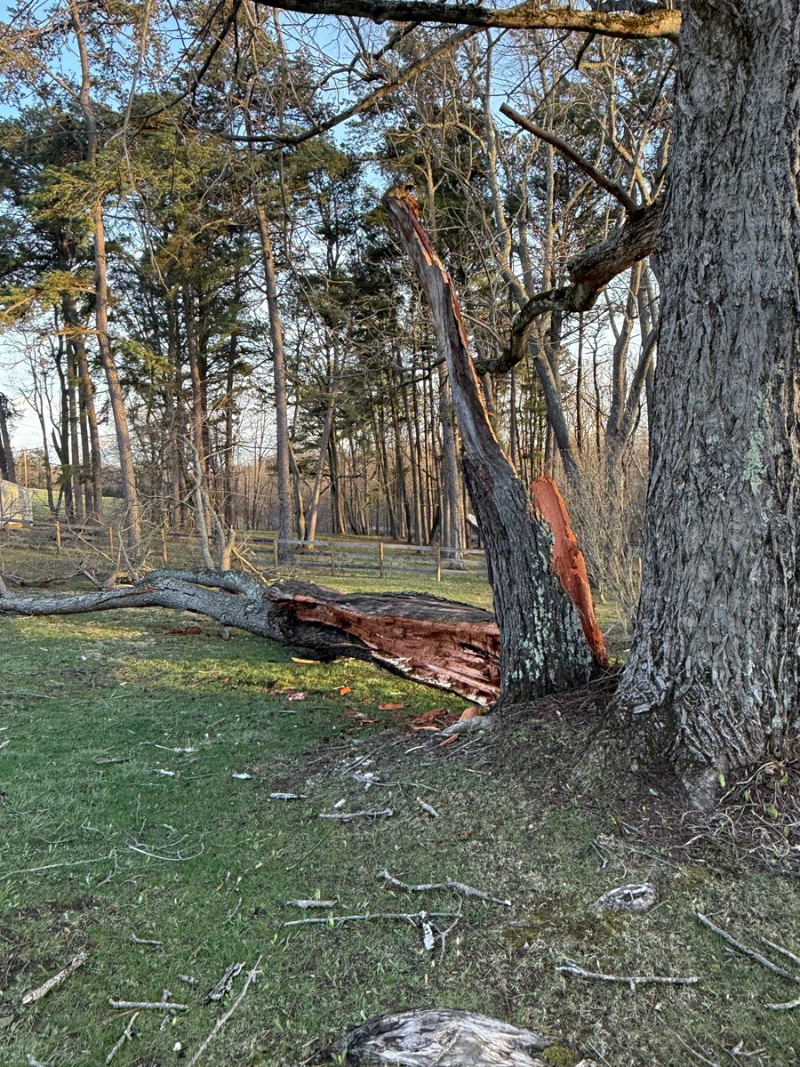 Dylan Cleland tweet media