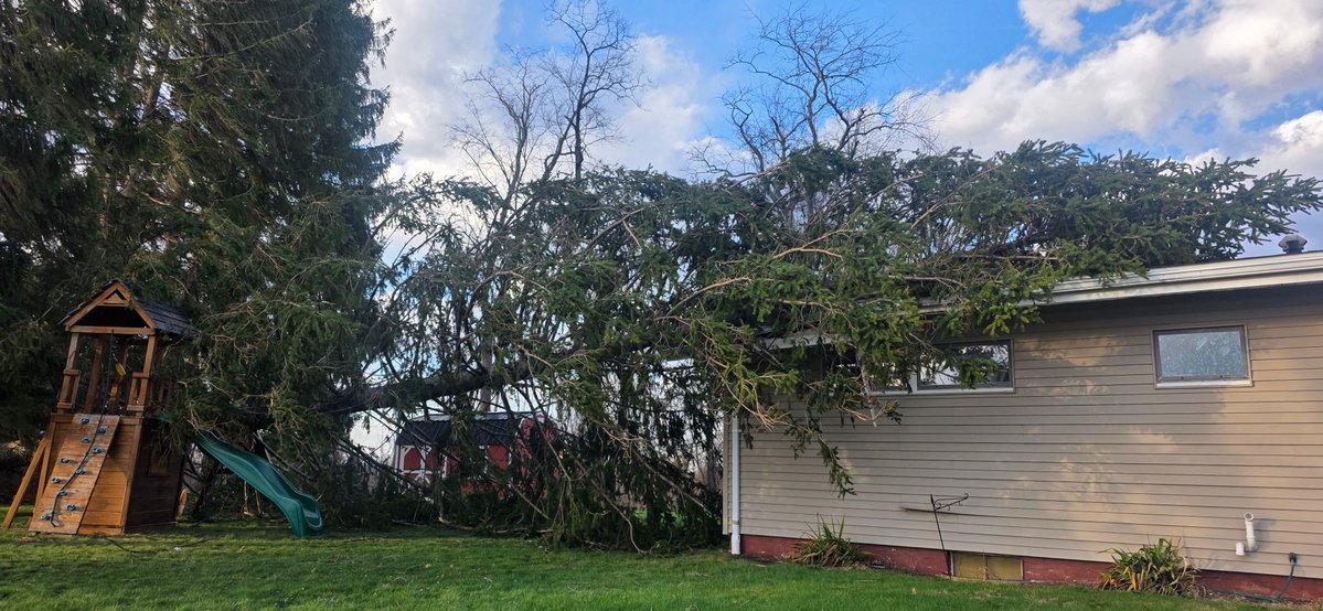 Dylan Cleland tweet media